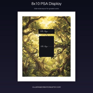 Petalia BP01-051-SP 8x10 PSA slab-style display layout for graded card presentation, Dawn of Palapagos