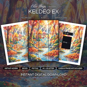 Keldeo EX 167/086 Binder Art + Framable Print Bundle | Extended Art 9-Pocket Display | 8x10 5x7 4x6 | White Flare