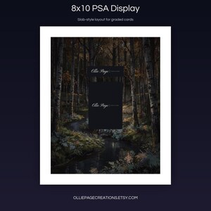Blitzle 195/182 8x10 PSA slab-style display layout for graded card presentation, Paradox Rift