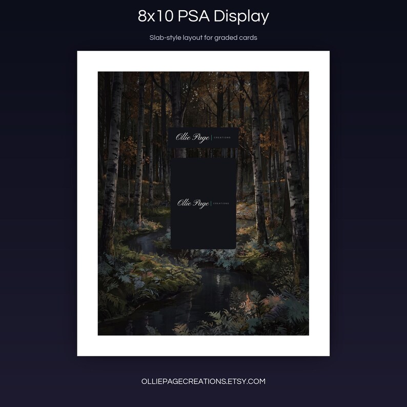 Blitzle 195/182 8x10 PSA slab-style display layout for graded card presentation, Paradox Rift