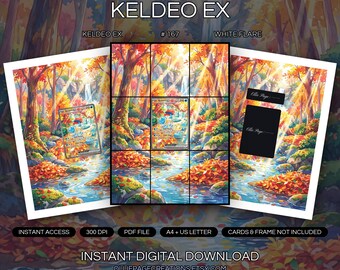 Keldeo EX 167/086 Carpeta de arte + Paquete de láminas para enmarcar / Exhibidor de arte extendido de 9 bolsillos / 8x10 5x7 4x6 / Blanco brillante