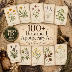 Puede incluir: Una colección de más de 100 láminas de arte botánico de boticario con ilustraciones de hierbas como caléndula, diente de león, equinácea, lavanda, toronjil, cardo mariano, pasionaria, hipérico, anís estrellado e hinojo en papel crema.