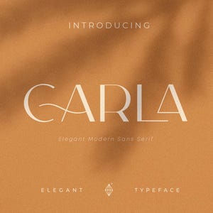 Może przedstawiać: Cyfrowa prezentacja kroju pisma zatytułowana CARLA jasnokremową czcionką na jednolitym terakotowym tle. Tekst zawiera słowa INTRODUCING, LIGHT, REGULAR, MEDIUM, BOLD, Elegant Modern Sans Serif, ELEGANT, TYPEFACE oraz 4 Weights.