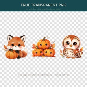 Little Pumpkin Clipart, Fall Baby Shower Clipart, 35 PNG, Cute Watercolor Woodland Animals & Pumpkins, Autumn Nursery, Commercial Use image 3