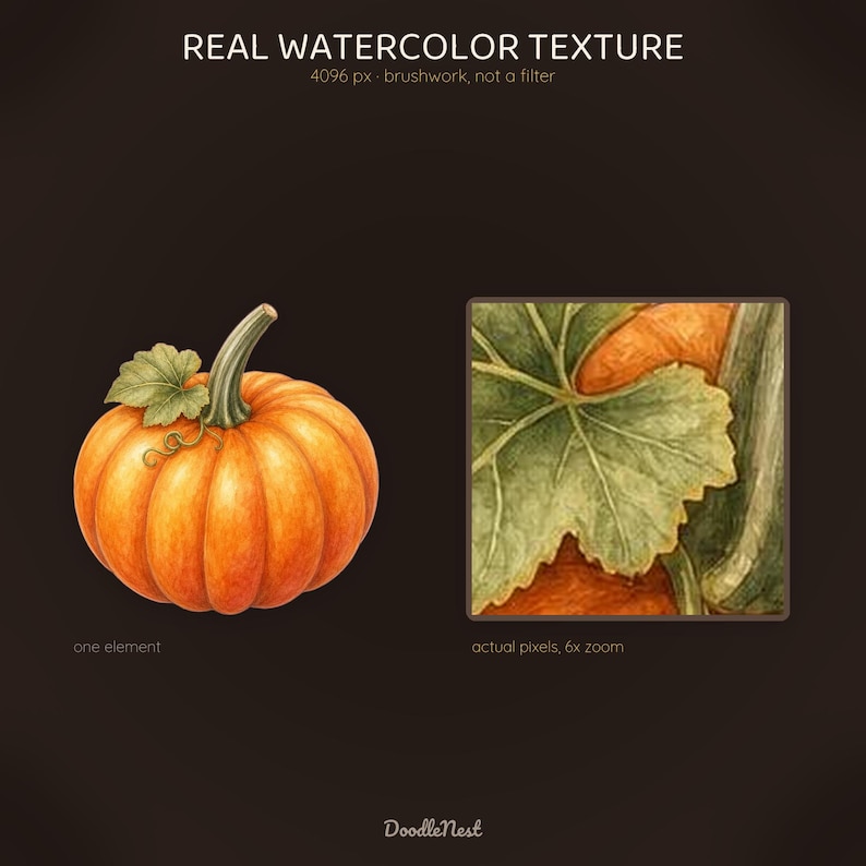 May include: A digital illustration of an orange pumpkin with a green stem and leaf, labelled 'REAL WATERCOLOR TEXTURE' and '4096 px - brushwork, not a filter'. Includes a 6x zoom box showing detailed brushwork and the text 'actual pixels, 6x zoom'.
