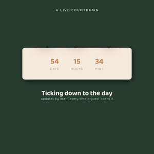 Baby Shower RSVP Website, Safari Animated Invitation with Countdown, Jungle Baby Shower Website Invite, Digital Invitation Made For You image 4