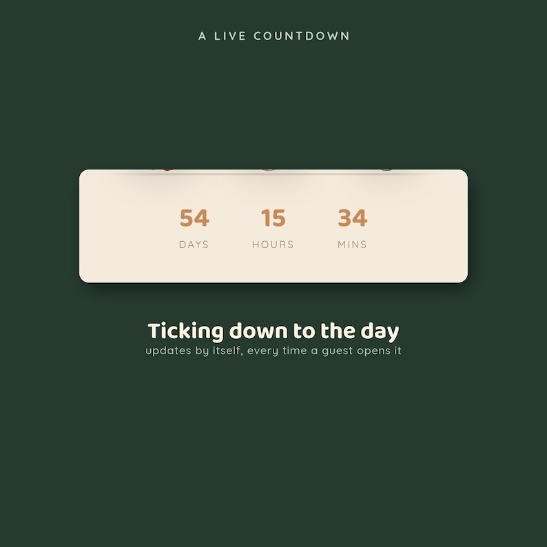 Baby Shower RSVP Website, Safari Animated Invitation with Countdown, Jungle Baby Shower Website Invite, Digital Invitation Made For You image 4