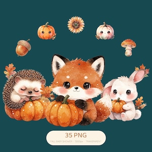 Little Pumpkin Clipart, Fall Baby Shower Clipart, 35 PNG, Cute Watercolor Woodland Animals & Pumpkins, Autumn Nursery, Commercial Use