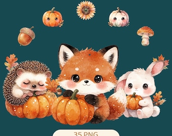 Little Pumpkin Clipart, Fall Baby Shower Clipart, 35 PNG, Cute Watercolor Woodland Animals & Pumpkins, Autumn Nursery, Commercial Use