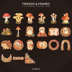 May include: A digital collection titled FRIENDS & FRAMES featuring 21 illustrations of owls, hedgehogs, mushrooms, and autumn-themed wreaths. The set includes various woodland creatures, fungi, and seasonal foliage arranged on a dark background.