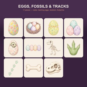 May include: A set of 11 educational cards titled EGGS, FOSSILS & TRACKS featuring illustrations of dinosaur eggs, a nest, a hatching baby dinosaur, a skeleton, a footprint, a bone, and a skull on a dark purple background with cream squares.