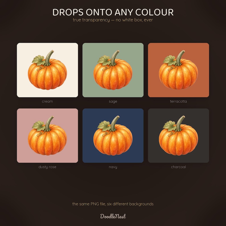 May include: A digital graphic featuring six identical orange pumpkins with green stems and leaves, each displayed on a different coloured square background labelled cream, sage, terracotta, dusty rose, navy, and charcoal. Text reads DROPS ONTO ANY COLOUR.