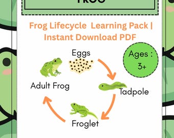 cycle de vie d'une grenouille | Apprentissage des STIM | Activité préscolaire | Téléchargement instantané