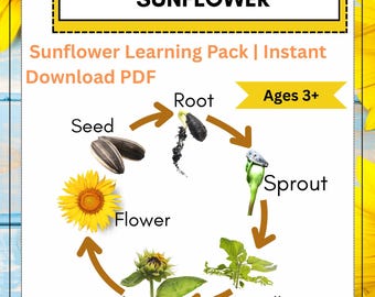 Leerpakket levenscyclus zonnebloem | STEM-activiteit voorschoolse (digitale download)