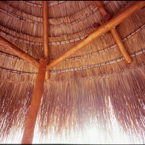 May include: A thatched umbrella featuring a natural brown straw canopy layered in circular rows. The structure is supported by a central wooden pole and several angled wooden support beams that connect to the underside of the straw roof.