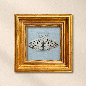May include: A square wall art piece featuring a white moth with black spots centered on a light blue background. The artwork is encased in an ornate, metallic gold frame with a beaded inner border and a textured, stepped outer edge.