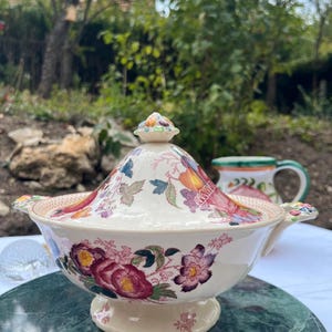 Può includere: Una zuppiera in ceramica color crema con coperchio abbinato, caratterizzata da un motivo floreale colorato con fiori rosso scuro, viola e verdi. La zuppiera presenta due manici laterali, una base a piedistallo e un piccolo pomello decorativo.
