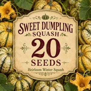 Puede incluir: Una etiqueta rectangular con fondo beige y texto marrón oscuro que dice Sweet Dumpling Squash 20 Seeds Heirloom Winter Squash, rodeada por un borde de hojas verdes, flores amarillas y varias calabazas pequeñas moteadas de color crema y verde.