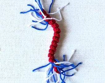 Patriot Squiggly