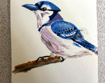 Aceo, dipinto acrilico raffigurante una ghiandaia azzurra, opera d'arte originale da parete, figurina da collezione.
