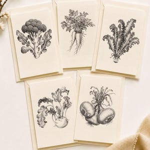 Peut inclure: Un ensemble de cinq cartes de vœux couleur crème, chacune présentant une illustration botanique détaillée en noir et blanc d'un légume : brocoli, carottes, chou frisé, chou-rave et oignons. Les cartes sont disposées en groupe.