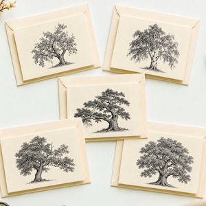 Peut inclure: Cinq cartes de correspondance pliées de couleur crème, chacune présentant une illustration différente à l'encre noire et blanche d'une espèce d'arbre. Les cartes sont disposées en groupe, montrant des dessins botaniques détaillés.
