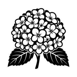 Pode incluir: Uma ilustração gráfica a preto e branco de uma flor de hortênsia com múltiplos pétalas arredondadas agrupadas numa forma esférica, suportada por um caule curto e duas folhas grandes e pontiagudas com bordas serrilhadas visíveis.