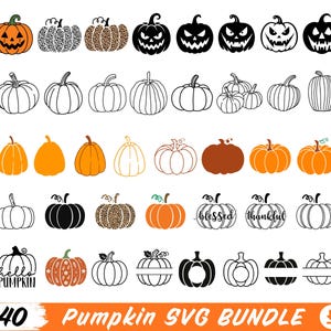 May include: A digital collection of 40 pumpkin illustrations featuring various styles including orange jack-o'-lanterns, black silhouettes, leopard print patterns, line art, solid shapes, and pumpkins with text like blessed, thankful, and hello pumpkin.