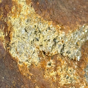 May include: A close-up view of a mineral specimen featuring a rough, textured surface with deep rust-brown and orange tones. Embedded within the rock are clusters of shimmering, pale yellow and metallic green crystalline flakes and mineral deposits.