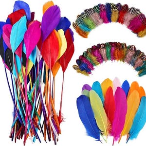May include: A collection of assorted craft feathers in a vibrant spectrum of colors including red, blue, yellow, orange, pink, and purple. The image displays a large vertical bundle of long feathers alongside two arched arrangements and a fan-shaped cluster.