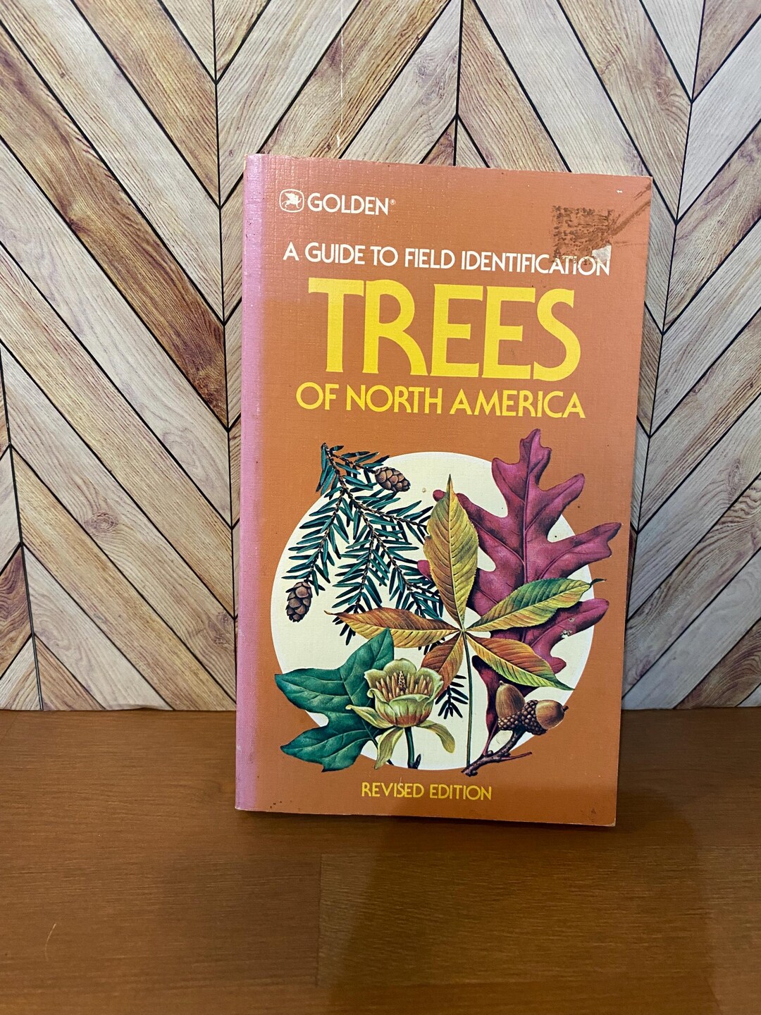Vintage Book of Trees: Golden A Guide to Field Identification Trees of ...