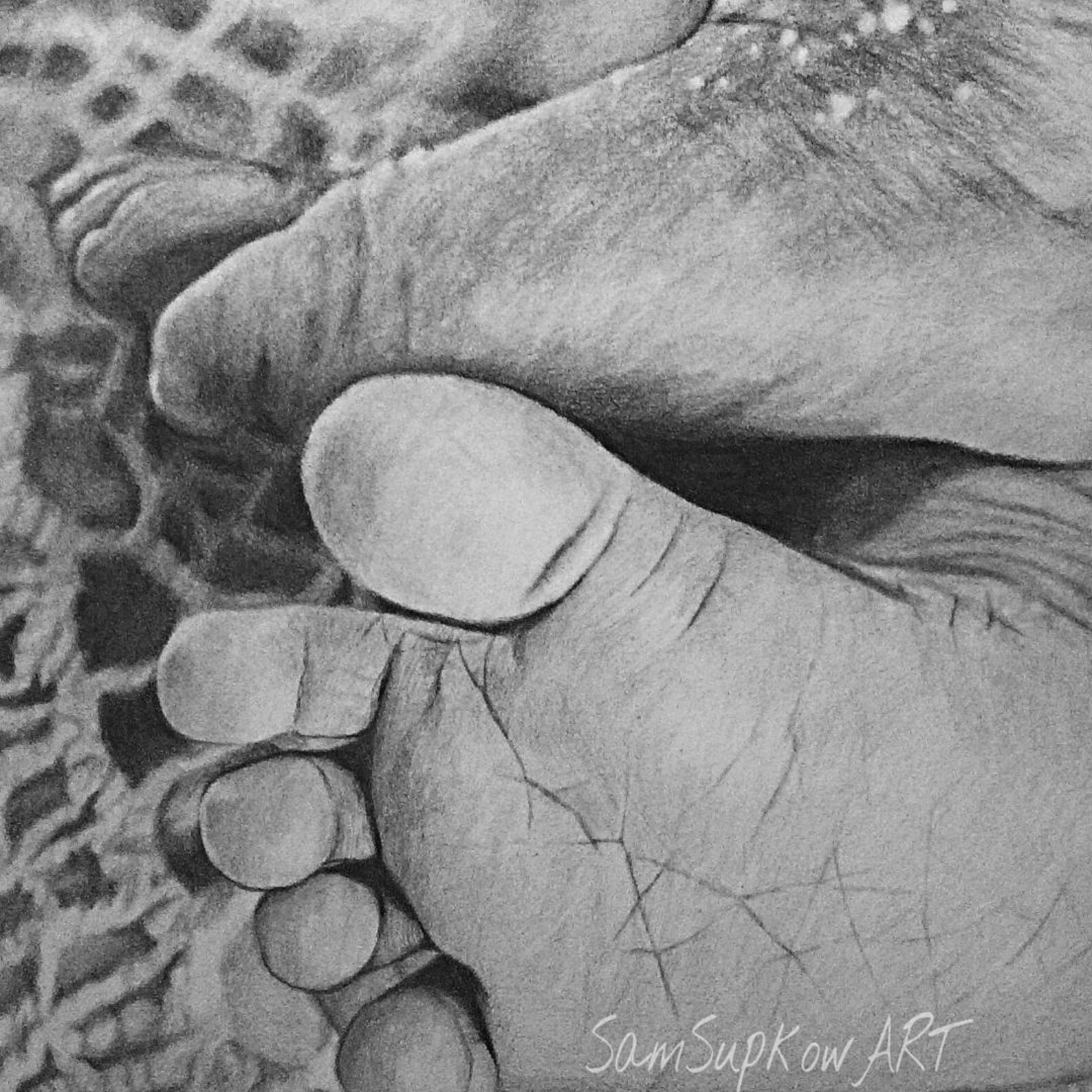 Baby Feet Pencil Drawing Print Etsy