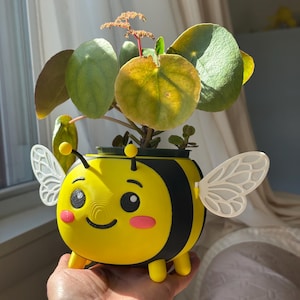 3D Printed Bee Planter, Kawaii Bumblebee Flower Pot, Self-Watering Drainage Insert