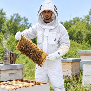 Puede incluir: Un traje de apicultor blanco con capucha de velo de malla protectora y guantes blancos largos. El traje cuenta con cremallera frontal, bolsillos en el pecho y un pequeño logotipo. Se sostiene un marco de panal de madera cubierto de abejas.