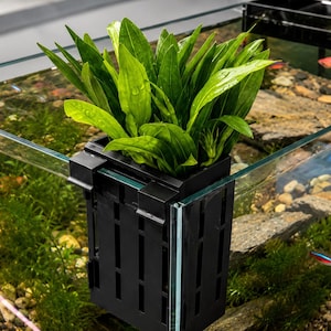 Peut inclure: Un support de plante pour aquarium en plastique noir avec un design à fentes, fixé sur le rebord en verre d'un réservoir. Le support contient une plante aquatique vert vif aux feuilles longues et pointues, au-dessus d'un substrat de gravier.