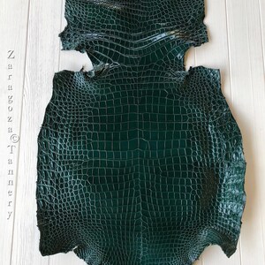 Könnte beinhalten: Ein dunkelgrünes, glänzendes Krokodilleder mit einem ausgeprägten, gleichmäßigen Schuppenmuster. Das Leder ist auf der linken Seite mit dem Text Zaragoza Tannery geprägt und weist einen satten, tiefen Smaragdton sowie eine reflektierende, polierte Oberfläche auf.
