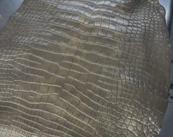 Real Taupe Alligator Back Cut Leather Hide | Unbleached Tanned Skin | Exotic Leather for Wallets, Bags, Belts & Luxury Craft Projects