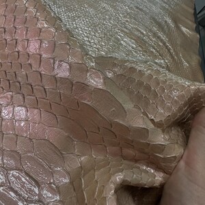Echtes, netzartiges Pythonleder (Rückenschnitt) | Taupefarbenes, glänzend gebleichtes Schlangenleder | Exotisches Leder für Geldbörsen, Taschen und luxuriöse Bastelprojekte