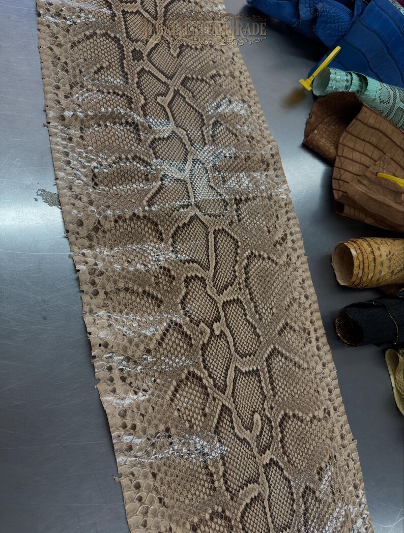 Real Burmesed Python Belly Cut Leather Hide | Brown Unbleached Exotic Snake Skin | Luxury Craft Projects image 6