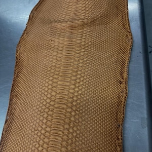 Real Brown Borneo Python Back Cut Leather Hide | Bleached Finish, Professionally Tanned & Ready for Crafting