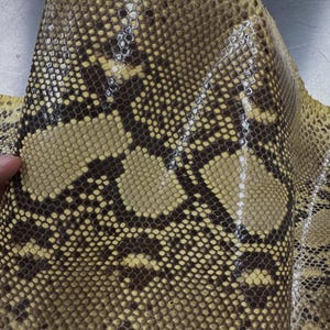 May include: A piece of natural snakeskin leather featuring a repeating diamond-shaped scale pattern in shades of yellow, tan, and dark brown. The surface has a glossy finish and displays the text "LEGAL LEATHER FADE" printed near the top edge.