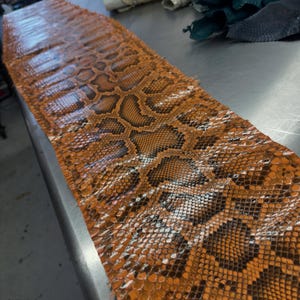 Echtes burmesisches Python-Bauchleder | Orangefarbenes, ungebleichtes exotisches Schlangenleder | Luxuriöse Bastelprojekte