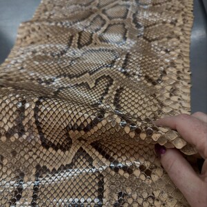 Real Burmesed Python Belly Cut Leather Hide | Brown Unbleached Exotic Snake Skin | Luxury Craft Projects image 4