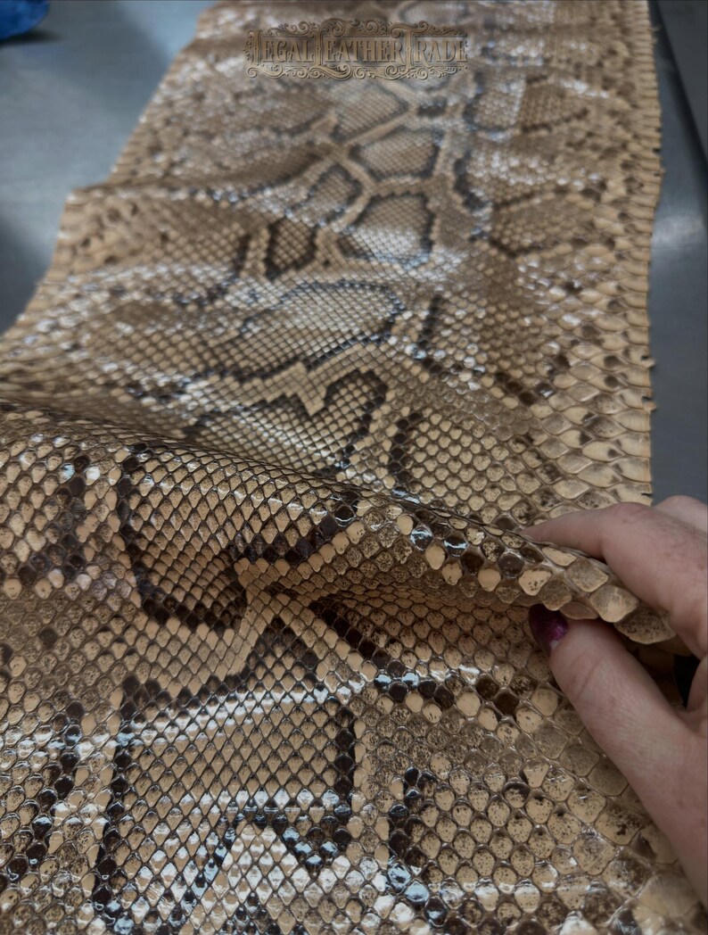 Real Burmesed Python Belly Cut Leather Hide | Brown Unbleached Exotic Snake Skin | Luxury Craft Projects image 4