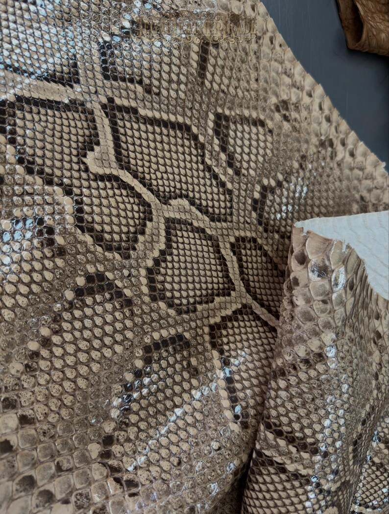 Real Burmesed Python Belly Cut Leather Hide | Brown Unbleached Exotic Snake Skin | Luxury Craft Projects image 5