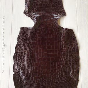 Genuine Python Skin, Dark Brown Exotic Skin for Craftsman Project