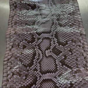 Echtes burmesisches Python-Bauchleder | Graues, ungebleichtes exotisches Schlangenleder | Luxuriöse Bastelprojekte