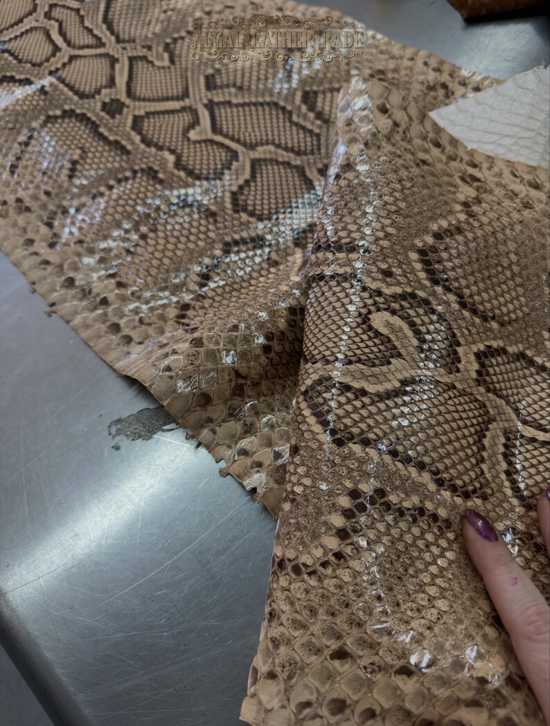 Real Burmesed Python Belly Cut Leather Hide | Brown Unbleached Exotic Snake Skin | Luxury Craft Projects image 3