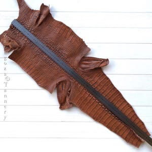 May include: A brown crocodile skin hide with a textured, scaled pattern. A black measuring tape is placed diagonally across the hide, showing a length of approximately 203 cm. The text Zara Goza Tannery is visible on the left side.