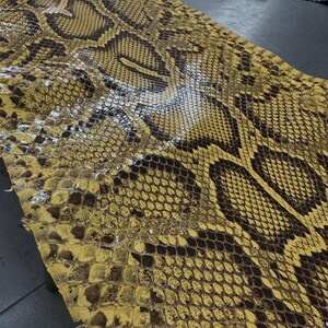 Echtes burmesisches Python-Bauchleder | Gelbes, ungebleichtes exotisches Schlangenleder | Luxuriöse Bastelprojekte
